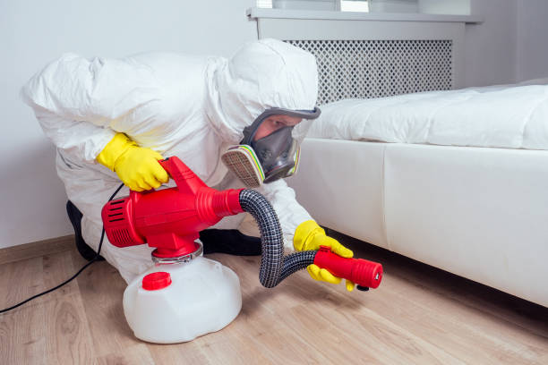 Best Local Pest Control Services  in Sedgwick, KS