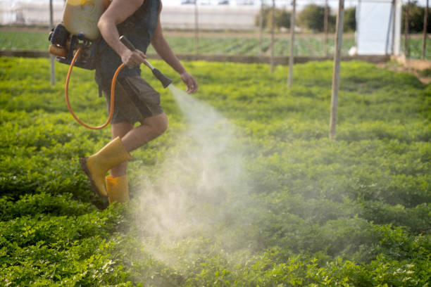 Best Pest Inspection Near Me  in Sedgwick, KS