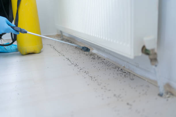 Best Insect Control  in Sedgwick, KS